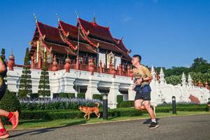 BIB: 758
                            <button type="button" onclick="openModal(22457559)" class="btn btn-primary btn-sm float-right btn-popup" data-toggle="modal" data-target=".modal-high-quality">
                        <i class="fas fa-shopping-cart"></i> Add to Cart
                    </button>
                                            <button type="button" onclick="isThisMe(22457559, true)" class="btn btn-success btn-sm float-right btn-popup btn-isme hidden" data-toggle="tooltip" data-placement="bottom" title="นี่คือรูปของคุณใช่ไหม คลิกที่นี่เพื่อเอาเข้าอัลบั้ม">
                        <i class="fas fa-plus"></i> Add to album
                    </button>
                    <button type="button" onclick="isThisMe(22457559, false)" class="btn btn-warning btn-sm float-right btn-popup btn-isnotme hidden">
                        <i class="fas fa-ban"></i> Remove from album
                    </button>